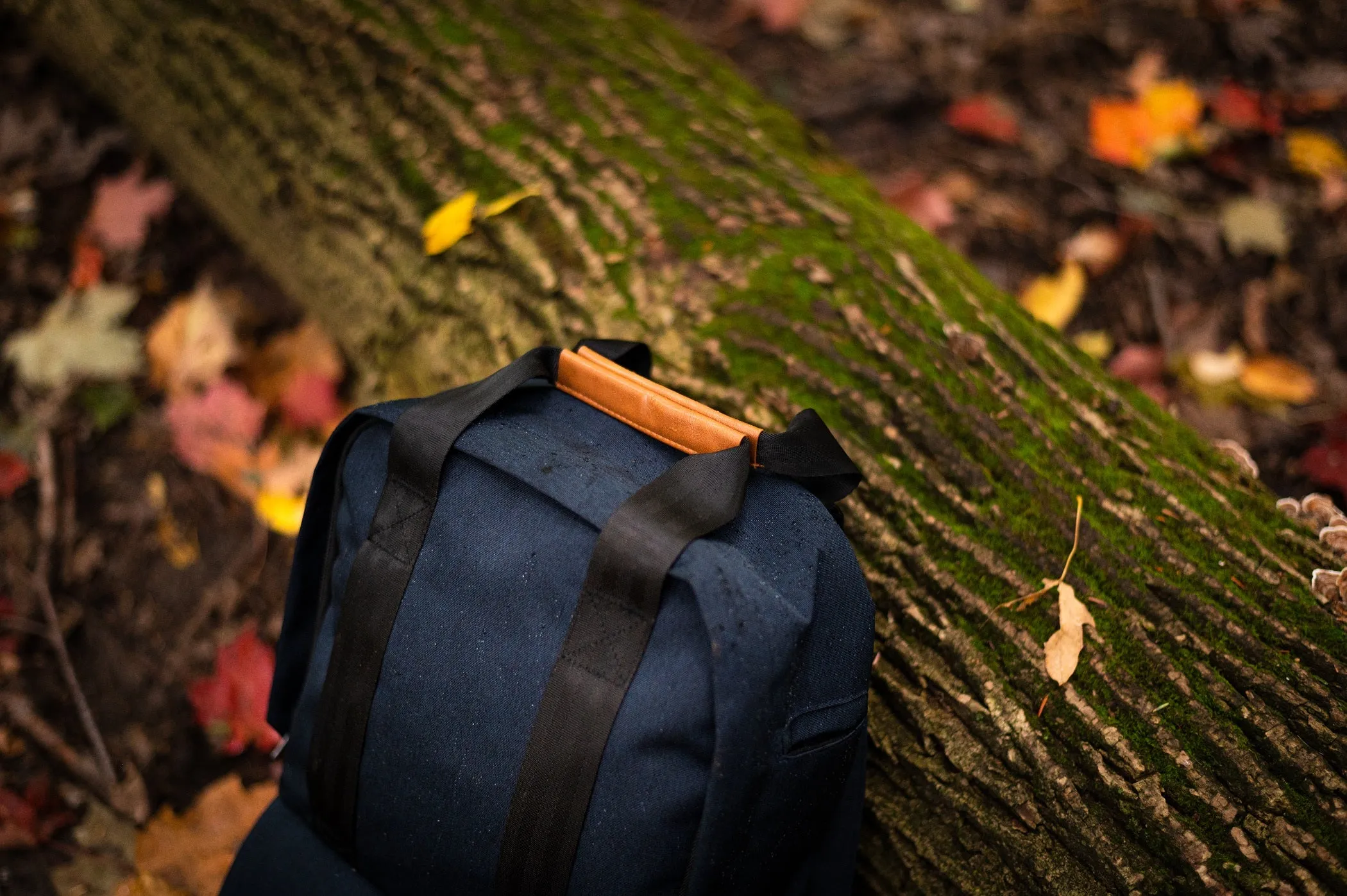 ROSSEAU MID II Backpack